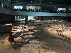 -自贡恐龙博物馆