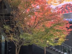 -苏州现代传媒广场商业