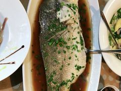 清蒸海鲈鱼-梁溪河畔·吉府花园(南长街南下塘店)