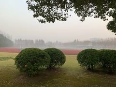 操场-复旦大学(张江校区)