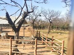 -西安秦岭野生动物园