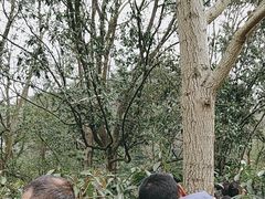 -韶山毛泽东同志故居