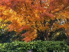 -苏州河梦清园环保主题公园