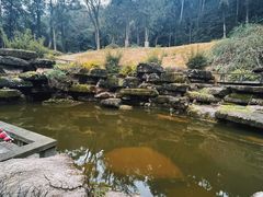 -缙云山景区