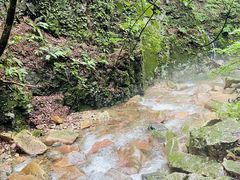 -本溪汤沟绿石谷森林公园