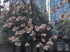 -红星桥(地铁站)