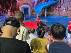 -烟台海昌鲸鲨海洋公园