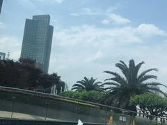 -采蝶轩(和义路店)