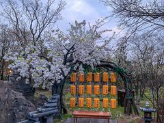 -茅山东方盐湖城景区