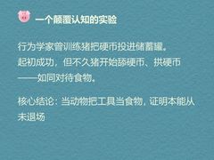 -观心实验室·心理咨询(徐汇店)