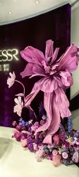 -黛莱皙护肤美妆