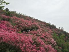 -木兰云雾山