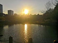 -白塘生态植物园