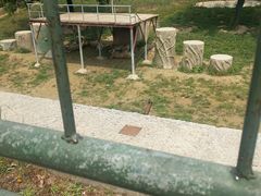 -宿豫区运河湾森林动物园