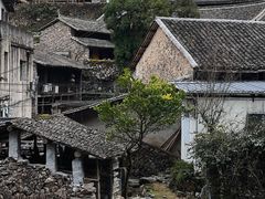 -MOJ coffee(瓯海泽雅水碓坑店)