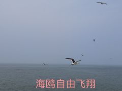 -长岛南北长山旅游景区