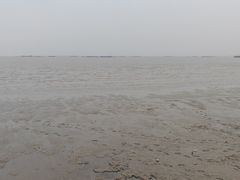 -吴淞炮台湾湿地森林公园烧烤区