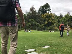 -墨尔本皇家植物园