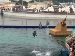 -秦皇岛乐岛海洋王国