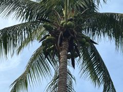 -三亚太阳湾柏悦酒店