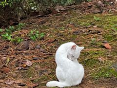 -敬亭山风景名胜区