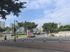 -野狸岛