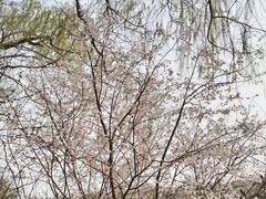 -塔子山公园