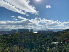 -飞凤山奥体公园