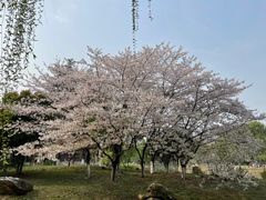 -堤角公园