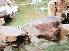 景点-常熟方塔园
