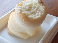 -柴犬高等学院·狗咖·柴犬售卖·宠物训练