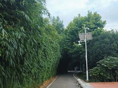 -贵阳市花溪国家城市湿地公园