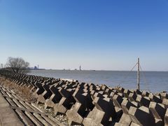 -上海滨江森林公园