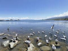 -青海湖国家重点风景名胜区