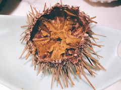 海胆-海玥荟海鲜姿造自助餐厅(欧罗巴广场店)