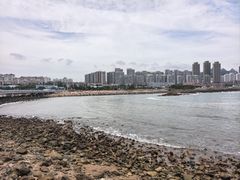 -小麦岛公园