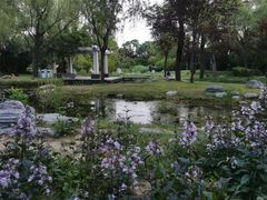 -郑东新区湿地公园