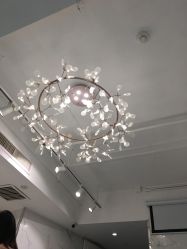 -潘多拉Hairsalon
