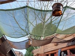 -Tangled Tree Tavern 老藤树食栈