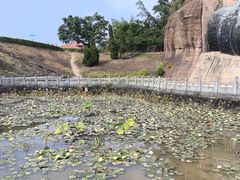 -三水森林公园