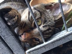 iphone_upload_pic-沐恩堂