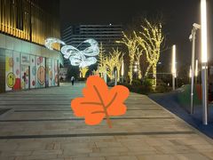-新江湾城公园