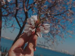 -天津金海湖