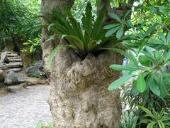 -南通洲际绿博园