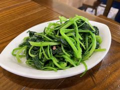 鸡毛菜-金小悦饭堂(创达中心店)