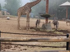 -大连森林动物园