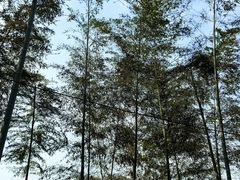 -雅达·阳羡溪山小镇中心