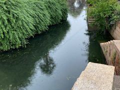 -丝绸小镇荻港古村
