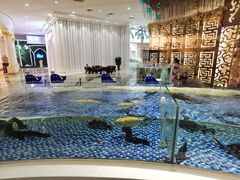 -海鲜码头·中国菜