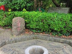 -上海佘山国家森林公园天马山园